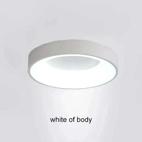 LED Ceiling Light 30/40/50CM Remote Control Adjustable Color Temperature Brightness Bedroom Living Room Hotel Indoor Lamp Lustre