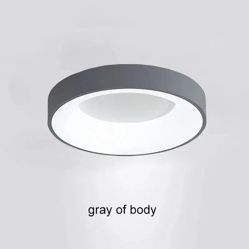 LED Ceiling Light 30/40/50CM Remote Control Adjustable Color Temperature Brightness Bedroom Living Room Hotel Indoor Lamp Lustre