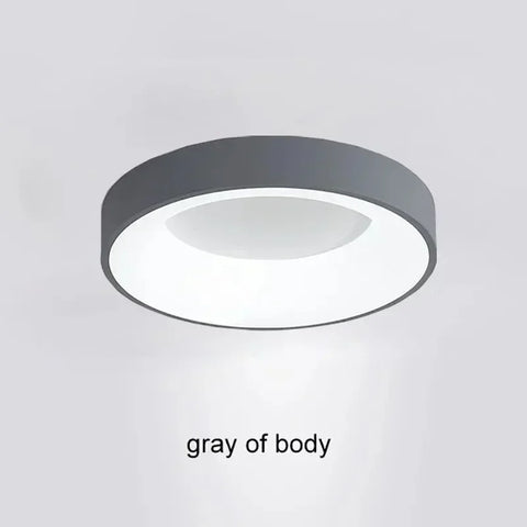 LED Ceiling Light 30/40/50CM Remote Control Adjustable Color Temperature Brightness Bedroom Living Room Hotel Indoor Lamp Lustre
