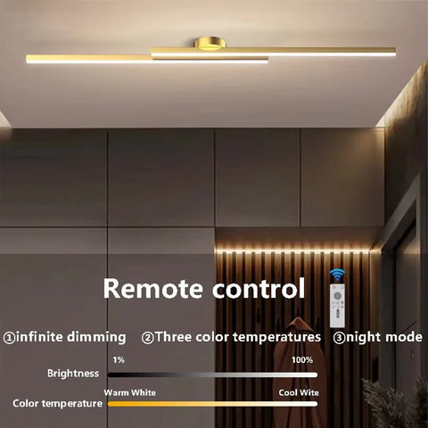 Modern LED Ceiling Light Long Aluminum Double Line Creative Design Ceiling Light Indoor Lighting Fixtures For Corridors Balconie
