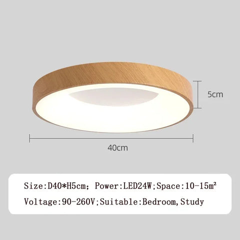 Nordic LED Ceiling Light Modern Slim Round Log Iron 30-60cm Lamp For Bedroom Living Room Study Aisle Indoor Decorative Fixtures